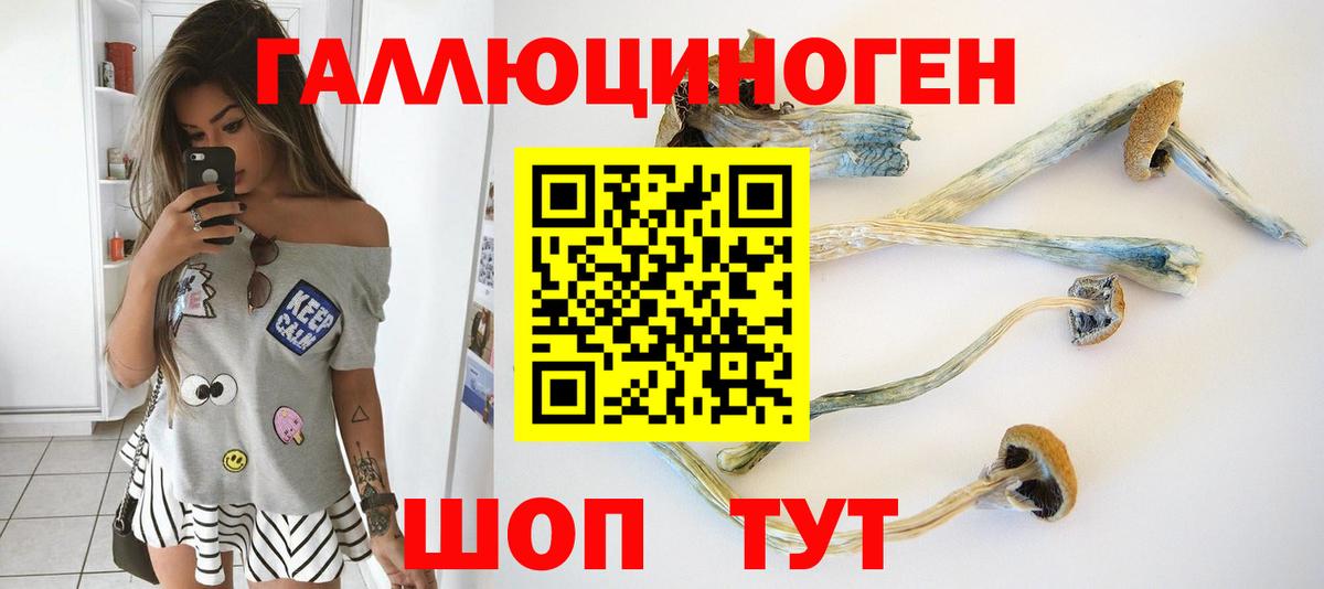 Псилоцибиновые грибы Cubensis  Вход с VPN  Чебаркуль 